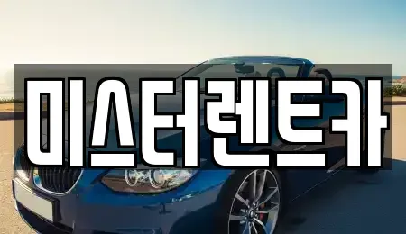 대구 남구 단기렌트카 전문 미스터렌트카