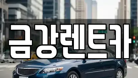 대구 남구 렌트카 전문 금강렌트카