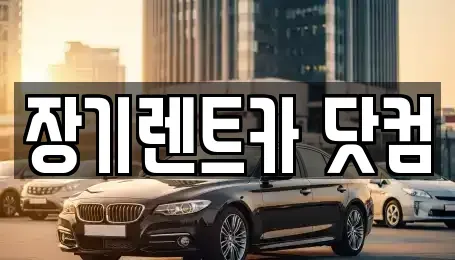 대구 남구 장기렌트카 전문 장기렌트카 닷컴