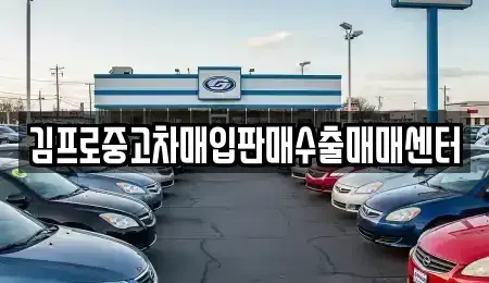 대구 남구 중고차매매,단기렌트카,중고차매입,장기렌트카,중고차,렌트카