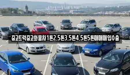 대구 남구 중고차매매 전문 중고트럭중고화물차1톤2.5톤3.5톤4.5톤5톤매매매입수출