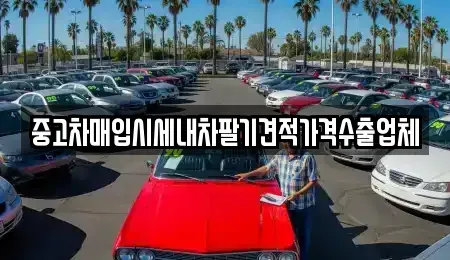 대구 남구 중고차매입 전문 중고차매입시세내차팔기견적가격수출업체