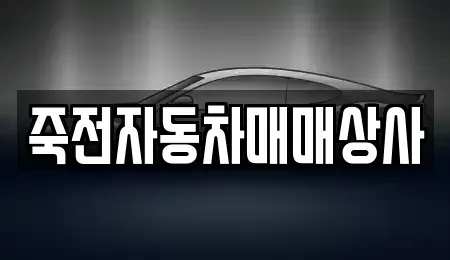 대구 달서구 감삼동 중고차매매 전문 죽전자동차매매상사