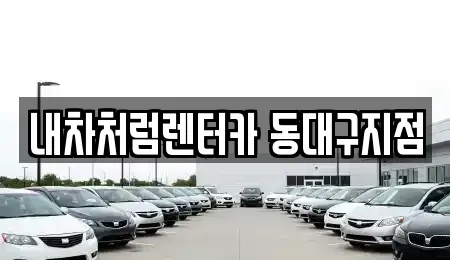 대구 동구 신암동 렌트카 전문 내차처럼렌터카 동대구지점