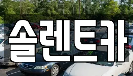 대구 동구 신암동 장기렌트카 전문 솔렌트카