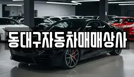 대구 동구 신암동 중고차 전문 동대구자동차매매상사