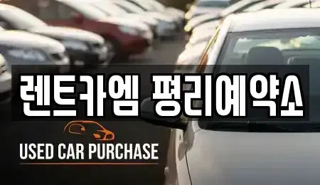 대구 서구 원대동3가 렌트카,단기렌트카,장기렌트카,중고차,중고차매매,중고차매입