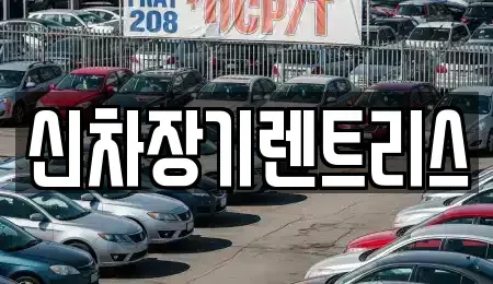 대구 서구 원대동3가 렌트카 전문 신차장기렌트리스