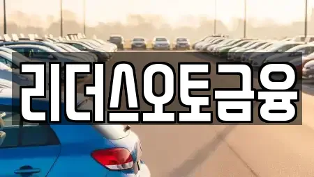 대구 서구 원대동3가 장기렌트카 전문 리더스오토금융