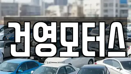 대구 서구 원대동3가 중고차 전문 건영모터스