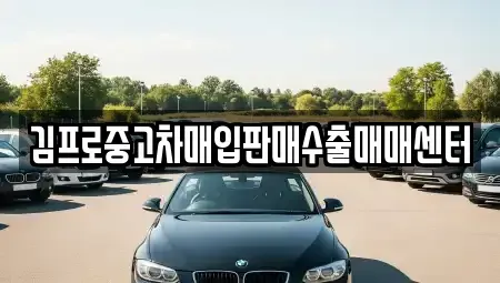 대구 서구 원대동3가 중고차매입 전문 김프로중고차매입판매수출매매센터
