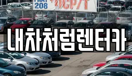대구 중구 삼덕동1가 렌트카 전문 내차처럼렌터카