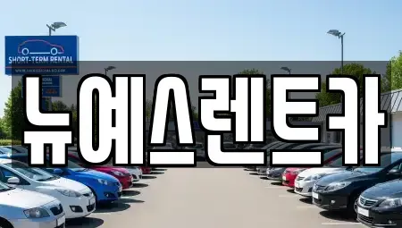 대구 중구 삼덕동1가 렌트카 전문 뉴예스렌트카