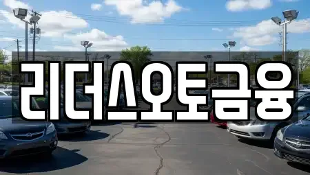 대구 중구 삼덕동1가 장기렌트카 전문 리더스오토금융