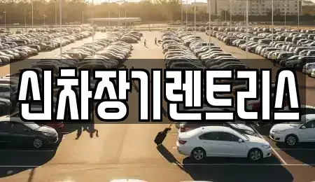 대구 중구 삼덕동1가 장기렌트카 전문 신차장기렌트리스