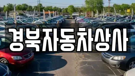 대구 중구 삼덕동1가 중고차매매 전문 경북자동차상사