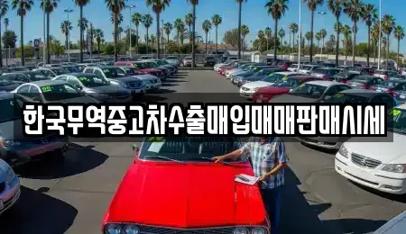 대구 중구 삼덕동1가 중고차매매 전문 한국무역중고차수출매입매매판매시세