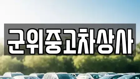 대구광역시 군위군 중고차,렌트카,중고차매입,중고차매매,장기렌트카,단기렌트카