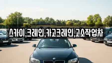 대구광역시 군위군 효령면 중고차 전문 스카이,크레인,카고크레인,고소작업차