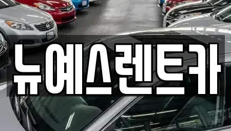 대구광역시 달성군 구지면 렌트카 전문 뉴예스렌트카