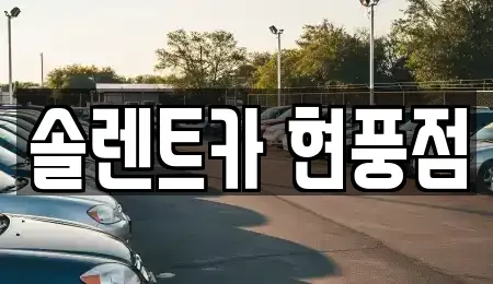 대구광역시 달성군 구지면 렌트카 전문 솔렌트카 현풍점