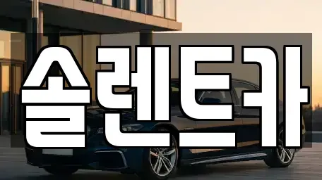 대구광역시 달성군 구지면 렌트카 전문 솔렌트카