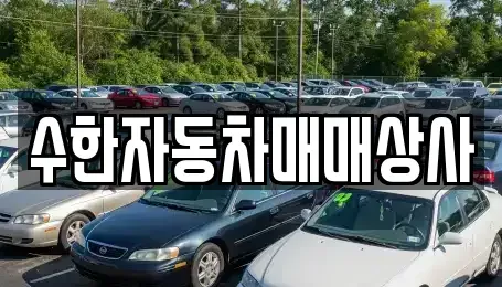대구광역시 달성군 구지면 중고차 전문 수한자동차매매상사