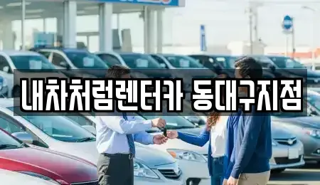 대구광역시 동구 신암동 렌트카 전문 내차처럼렌터카 동대구지점