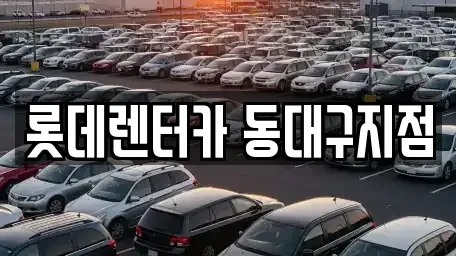 대구광역시 동구 신암동 렌트카 전문 롯데렌터카 동대구지점
