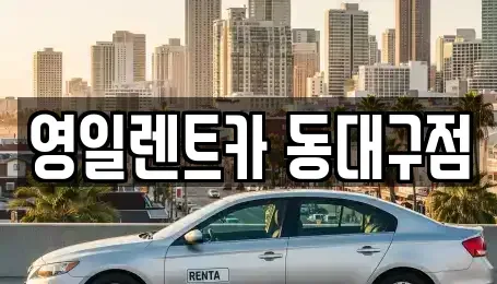 대구광역시 동구 신암동 렌트카 전문 영일렌트카 동대구점