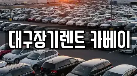 대구광역시 동구 신암동 장기렌트카 전문 대구장기렌트 카베이