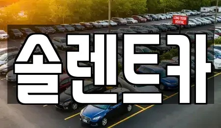 대구광역시 동구 신암동 장기렌트카 전문 솔렌트카