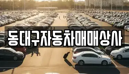 대구광역시 동구 신암동 중고차 전문 동대구자동차매매상사