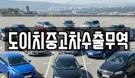 대구광역시 동구 평광동 장기렌트카,중고차,렌트카,단기렌트카,중고차매입,중고차매매