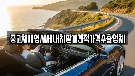 대구광역시 동구 평광동 중고차 전문 중고차매입시세내차팔기견적가격수출업체