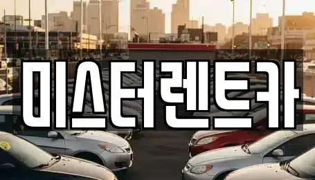 대구광역시 북구 복현동 렌트카 전문 미스터렌트카