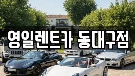 대구광역시 북구 복현동 렌트카 전문 영일렌트카 동대구점