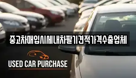 대구광역시 북구 복현동 중고차 전문 중고차매입시세내차팔기견적가격수출업체