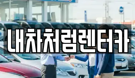 대구광역시 북구 팔달동 렌트카 전문 내차처럼렌터카