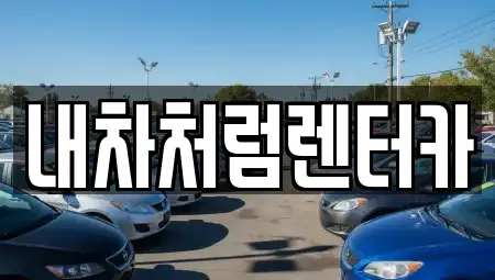 대구광역시 수성구 욱수동 렌트카 전문 내차처럼렌터카