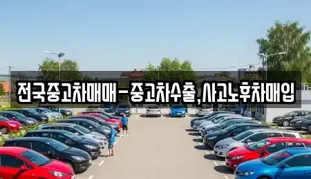 대구광역시 수성구 욱수동 중고차매입 전문 전국중고차매매-중고차수출,사고노후차매입