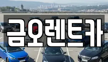 대구광역시 중구 완전동 단기렌트카,중고차매입,중고차매매,중고차,렌트카,장기렌트카