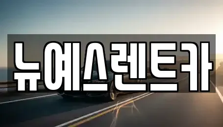 대구광역시 중구 완전동 렌트카 전문 뉴예스렌트카