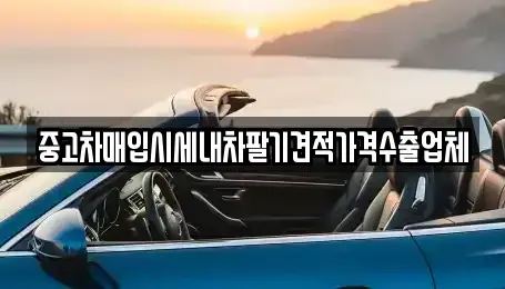 대구광역시 중구 완전동 중고차매입 전문 중고차매입시세내차팔기견적가격수출업체