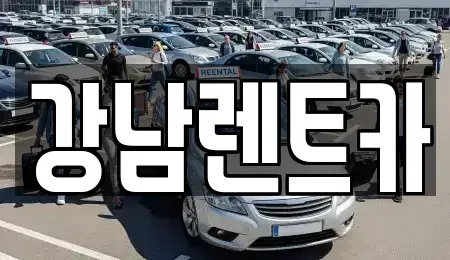 대전 대덕구 법동 렌트카 전문 강남렌트카
