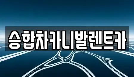 대전 대덕구 법동 렌트카 전문 승합차카니발렌트카