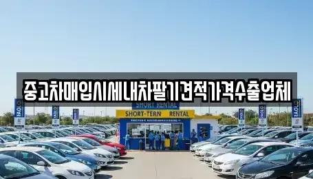 대전 대덕구 법동 중고차 전문 중고차매입시세내차팔기견적가격수출업체