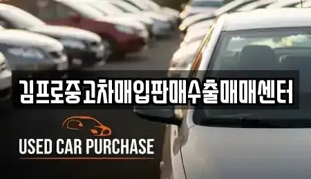 대전 대덕구 법동 중고차매입 전문 김프로중고차매입판매수출매매센터
