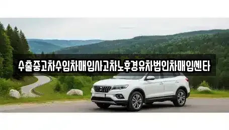 대전 대덕구 법동 중고차매입 전문 수출중고차수입차매입사고차노후경유차법인차매입센타