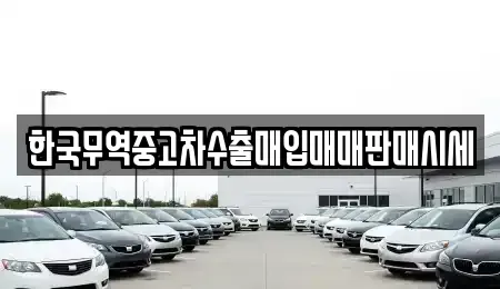 대전 대덕구 법동 중고차매입 전문 한국무역중고차수출매입매매판매시세